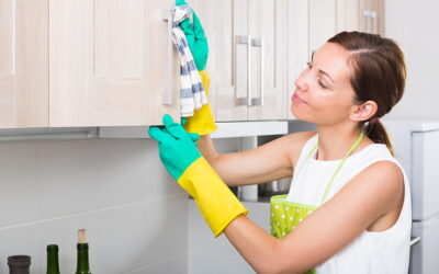 Limpiar la cocina con vinagre de limpieza